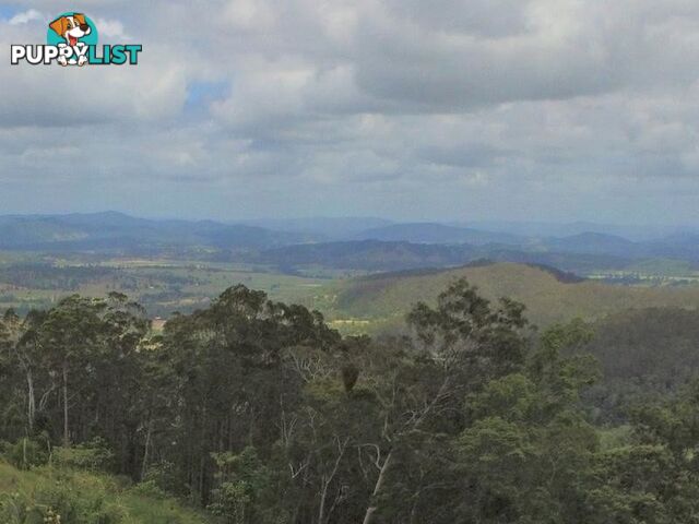 1033 Black Mountain Road Federal QLD 4568
