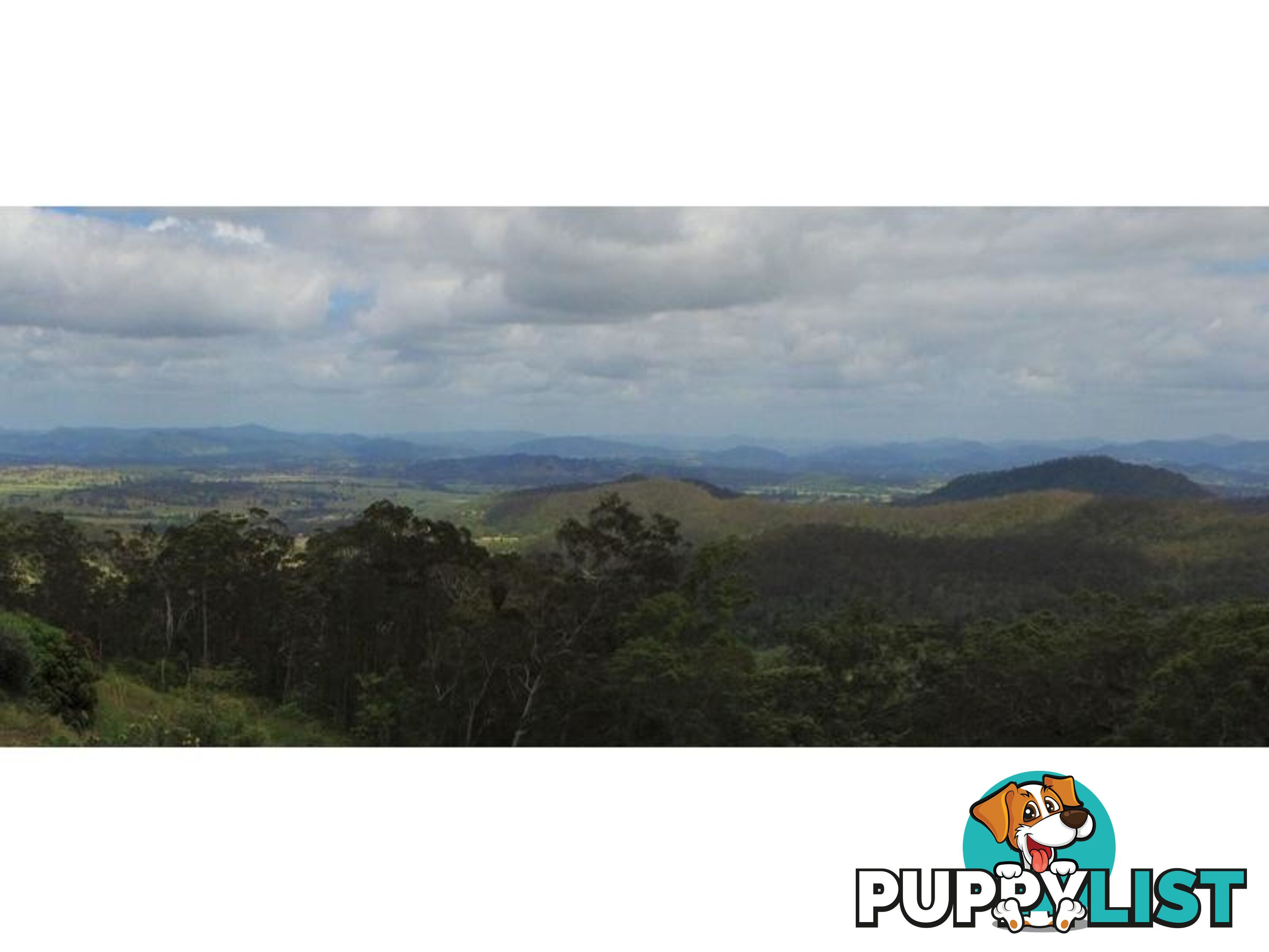 1033 Black Mountain Road Federal QLD 4568