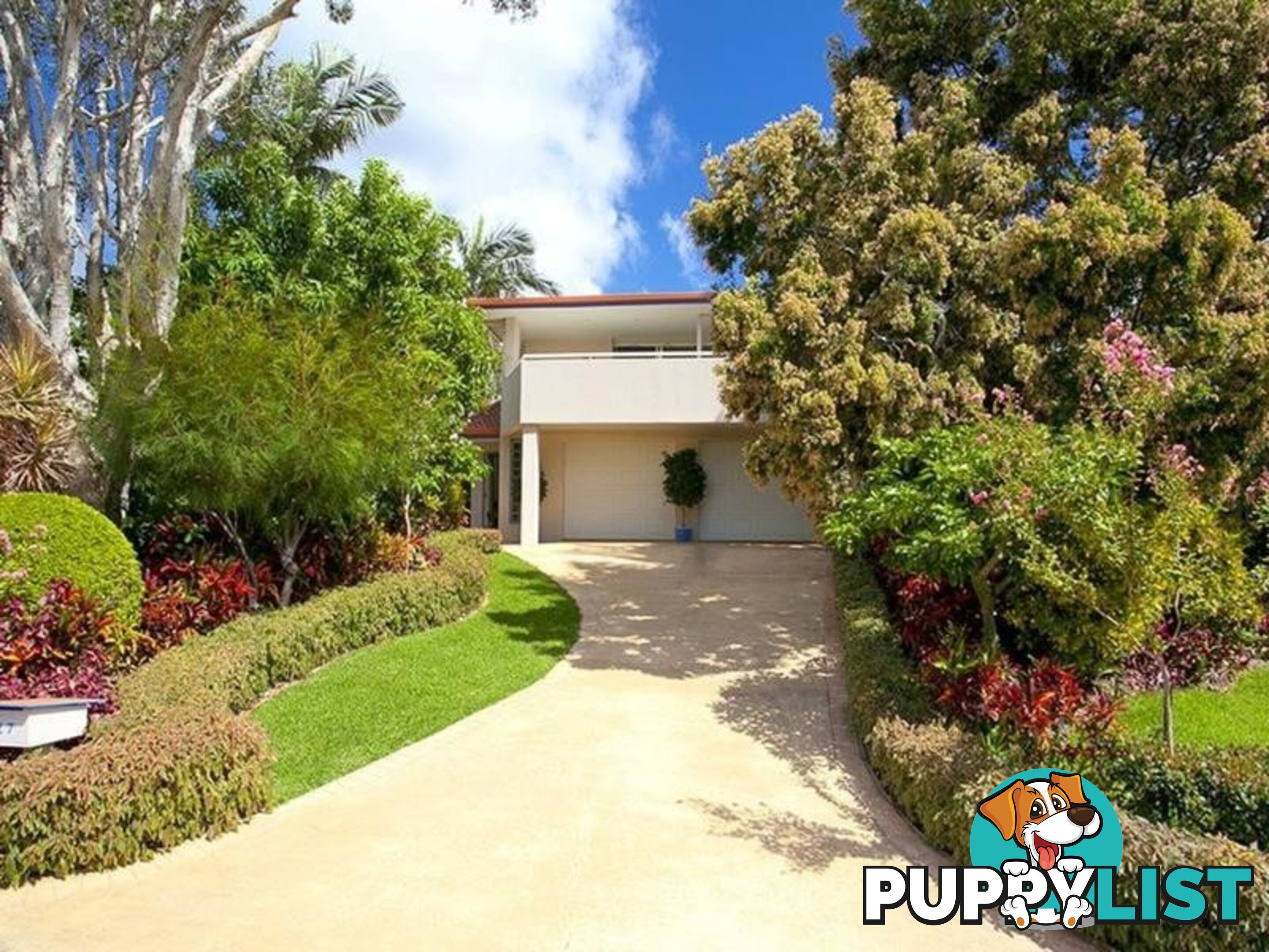 27 Douglas Street SUNSHINE BEACH QLD 4567