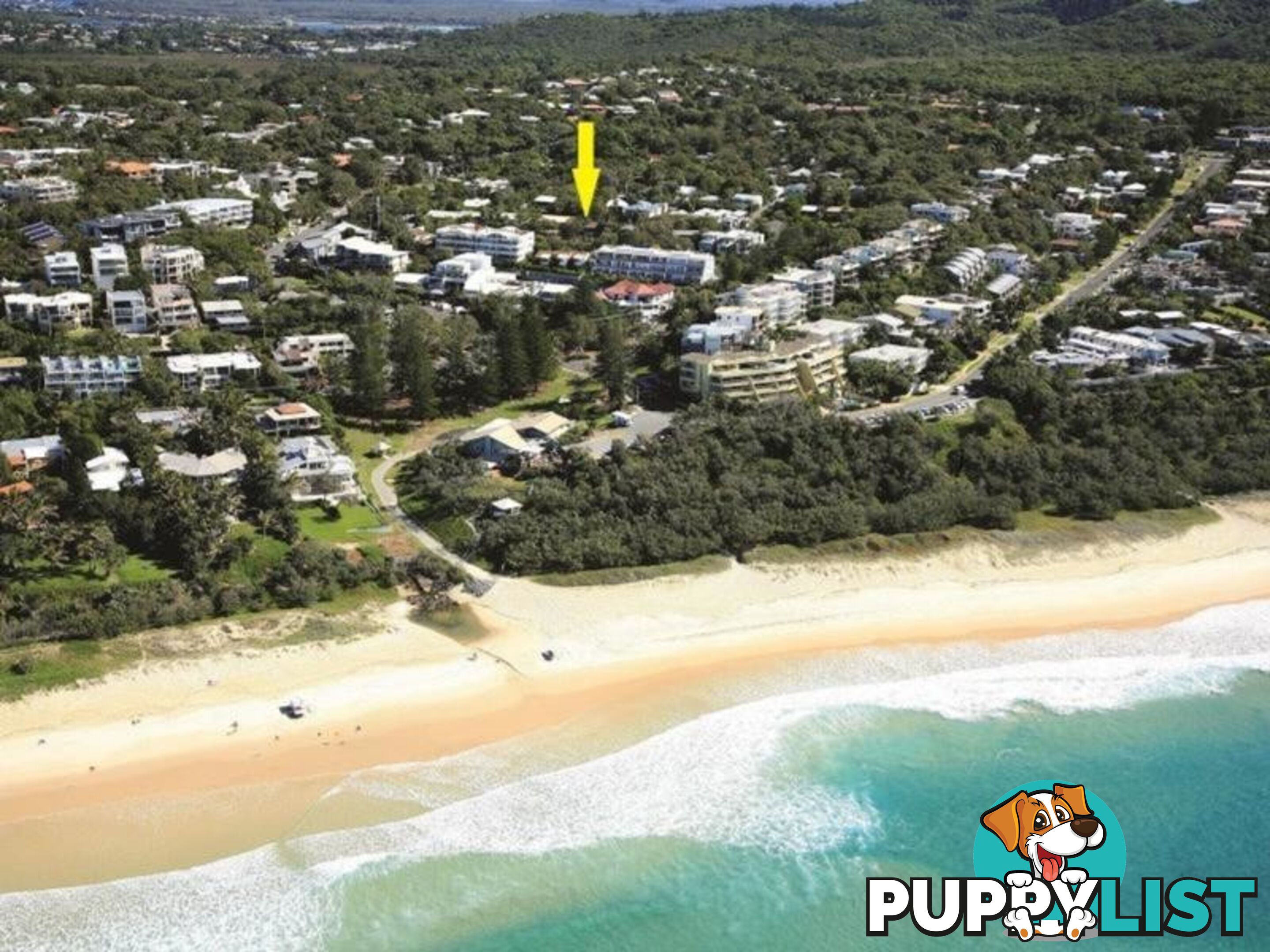 27 Douglas Street SUNSHINE BEACH QLD 4567