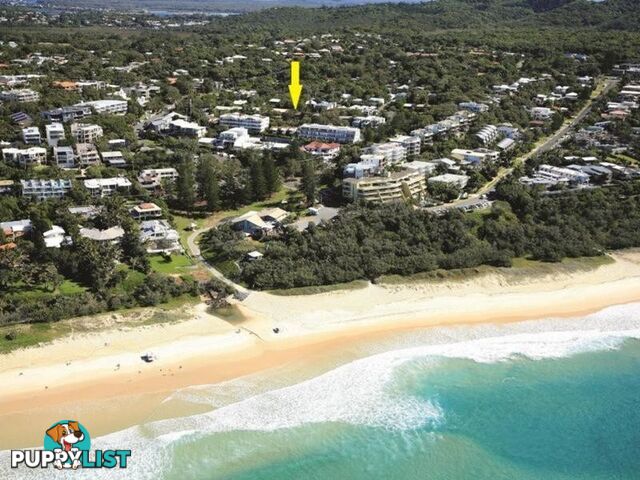 27 Douglas Street SUNSHINE BEACH QLD 4567