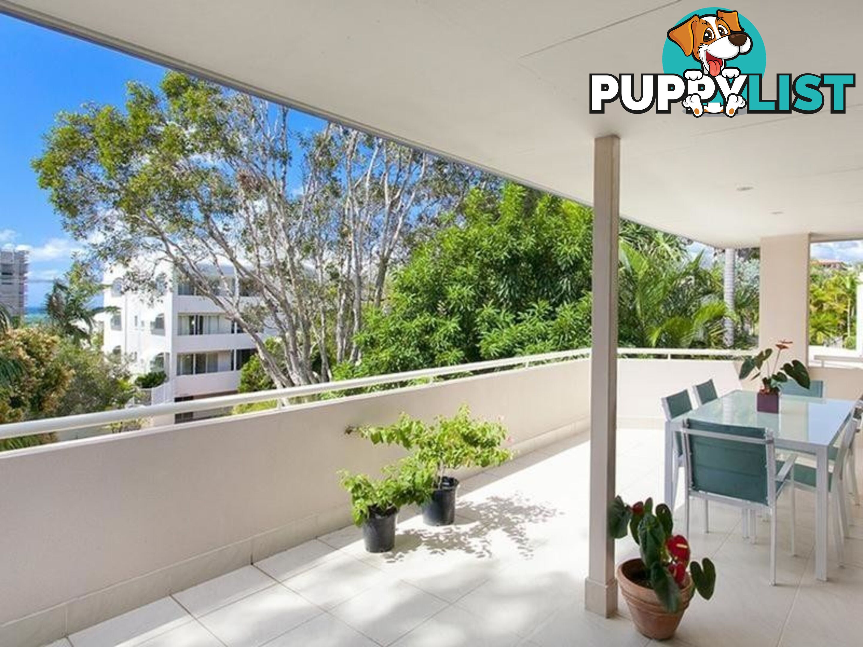 27 Douglas Street SUNSHINE BEACH QLD 4567