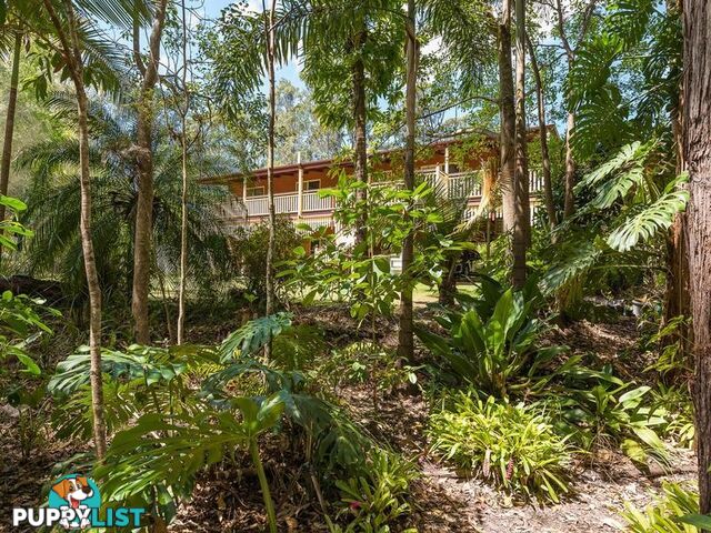 237 Forest LAKE MACDONALD QLD 4563