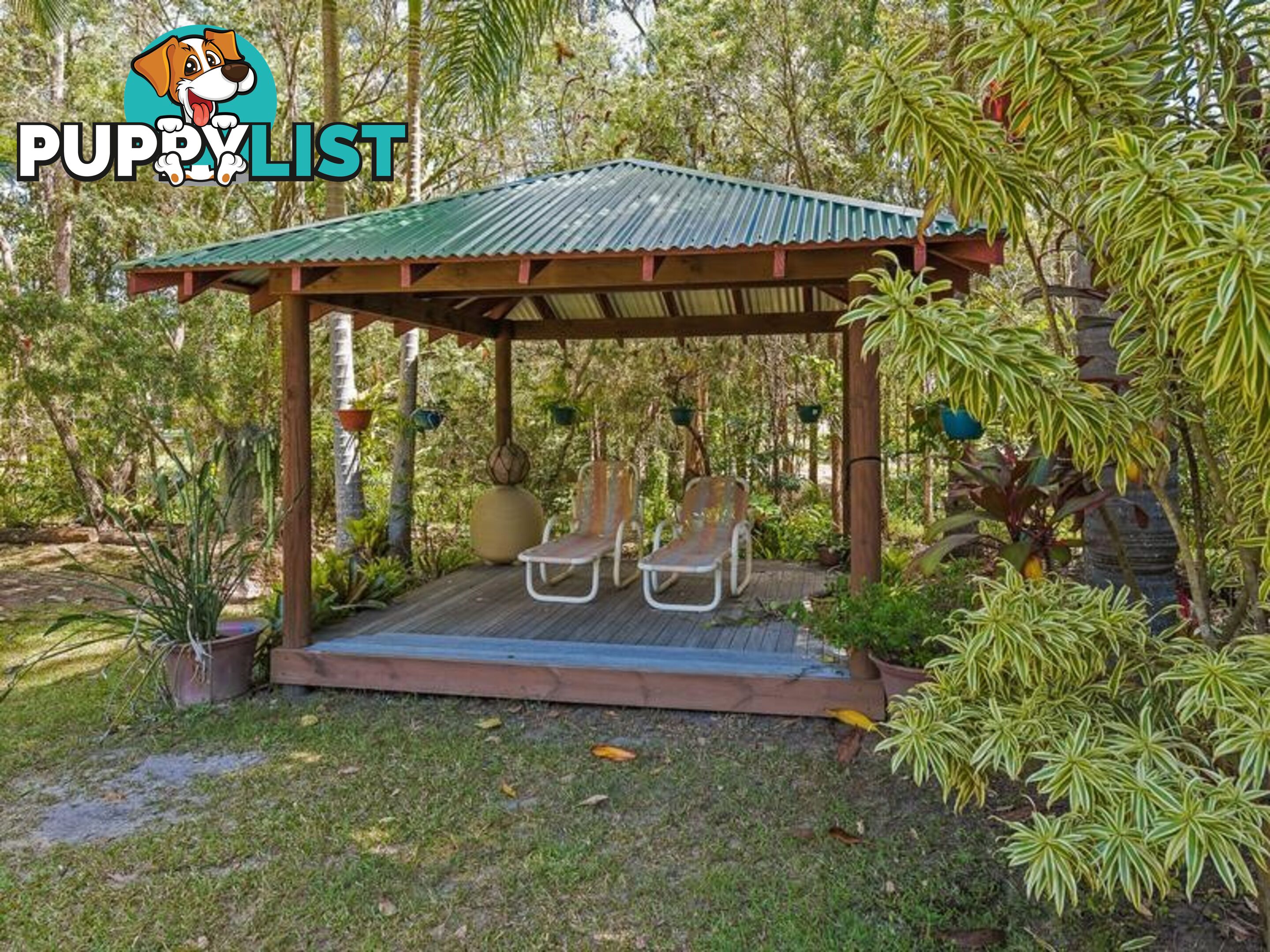 237 Forest LAKE MACDONALD QLD 4563