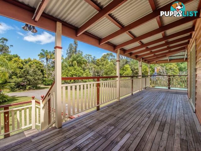 237 Forest LAKE MACDONALD QLD 4563