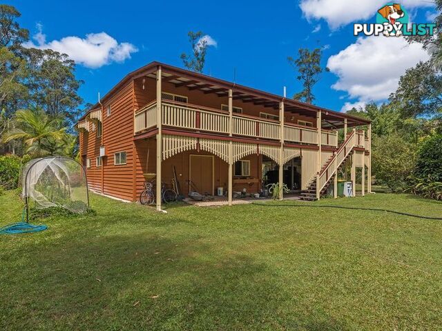 237 Forest LAKE MACDONALD QLD 4563