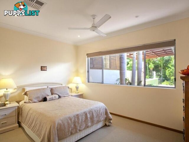 8 Habitat Place NOOSA HEADS QLD 4567