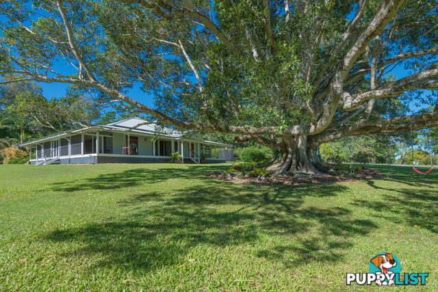 166 Cootharaba Downs Cootharaba QLD 4565