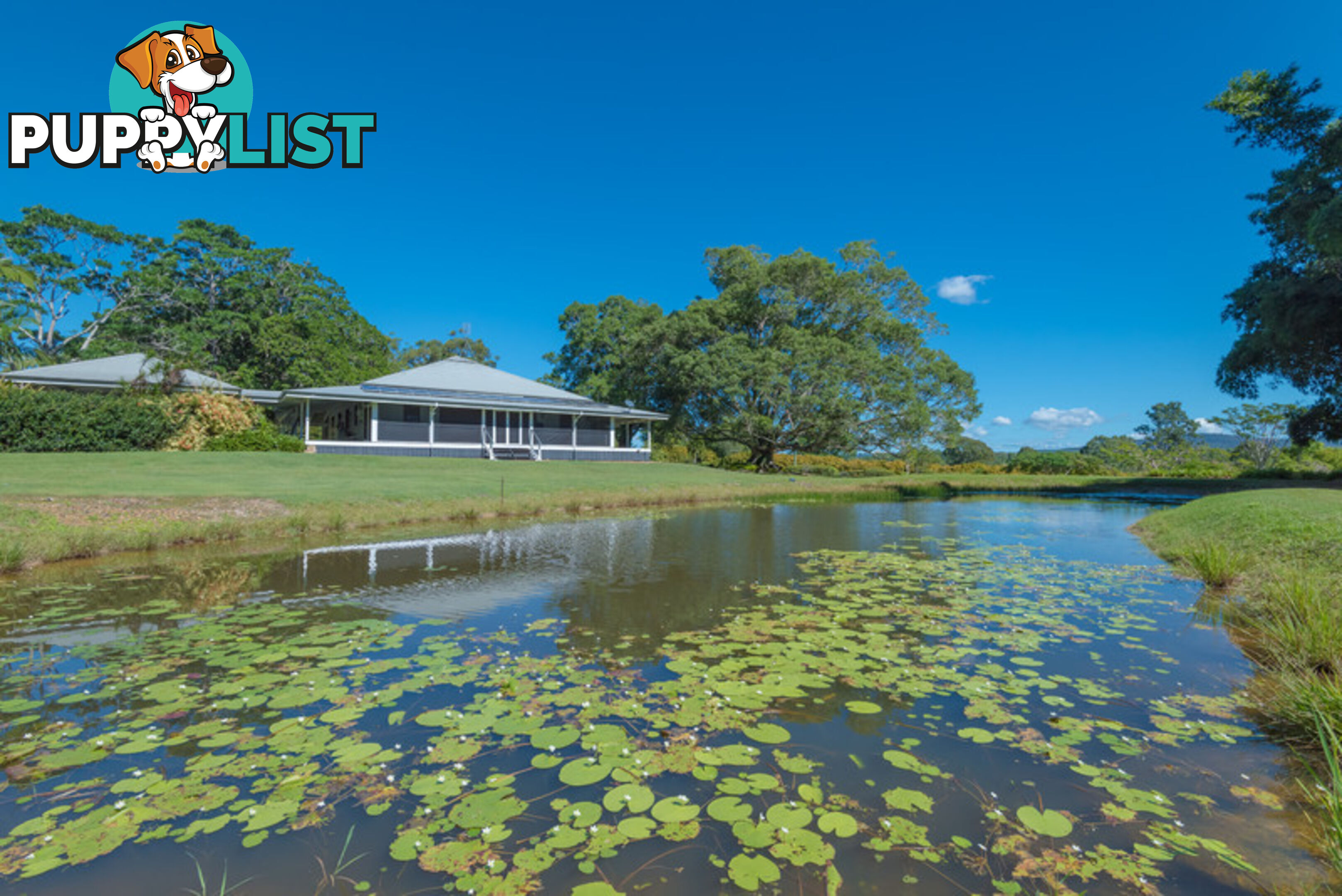 166 Cootharaba Downs Cootharaba QLD 4565