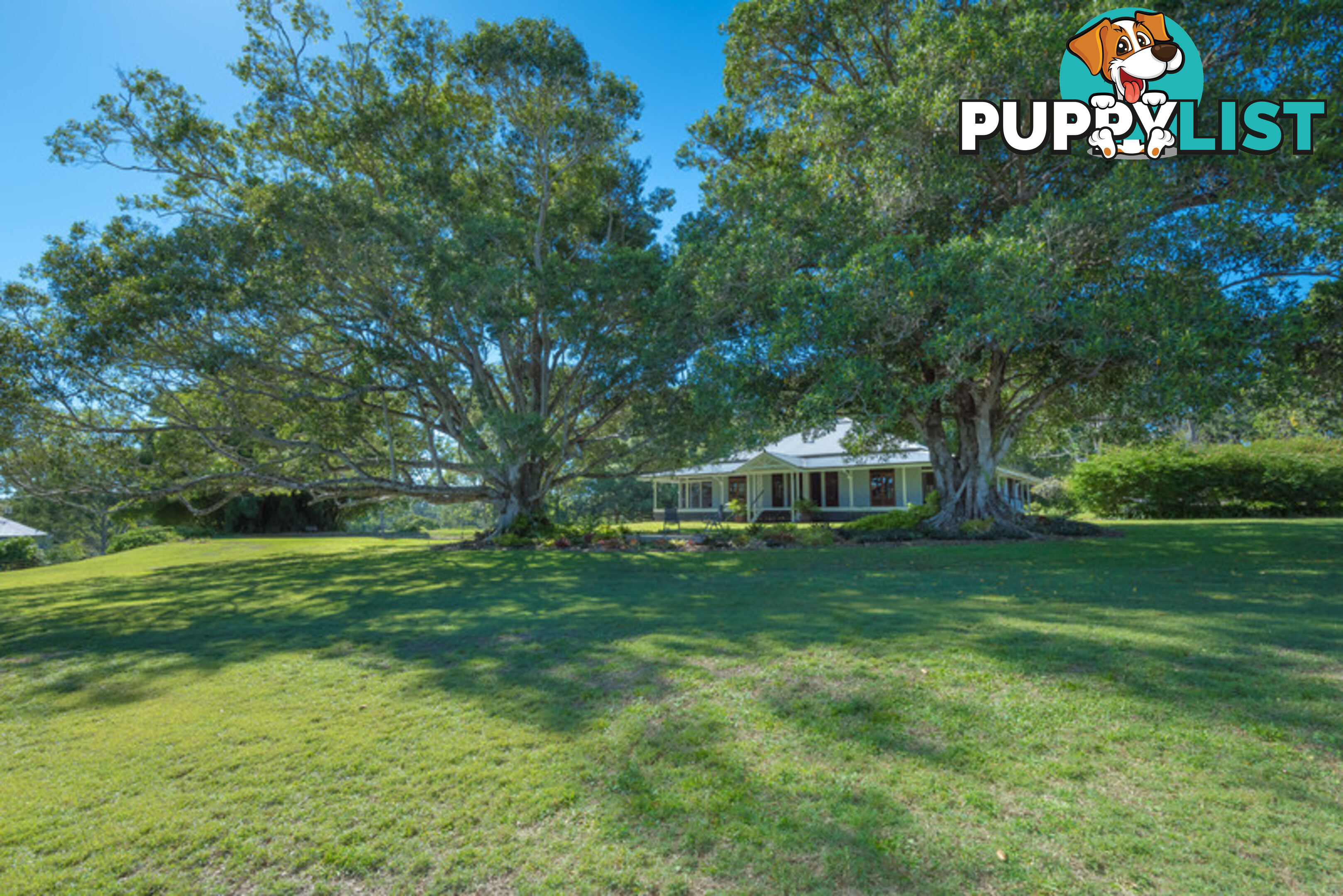 166 Cootharaba Downs Cootharaba QLD 4565