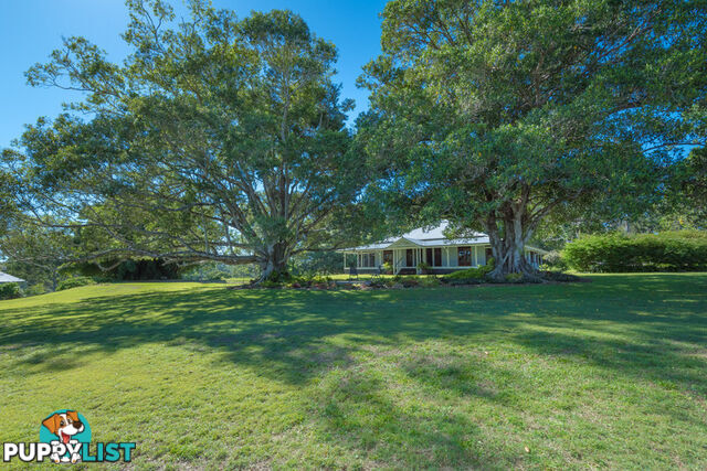 166 Cootharaba Downs Cootharaba QLD 4565