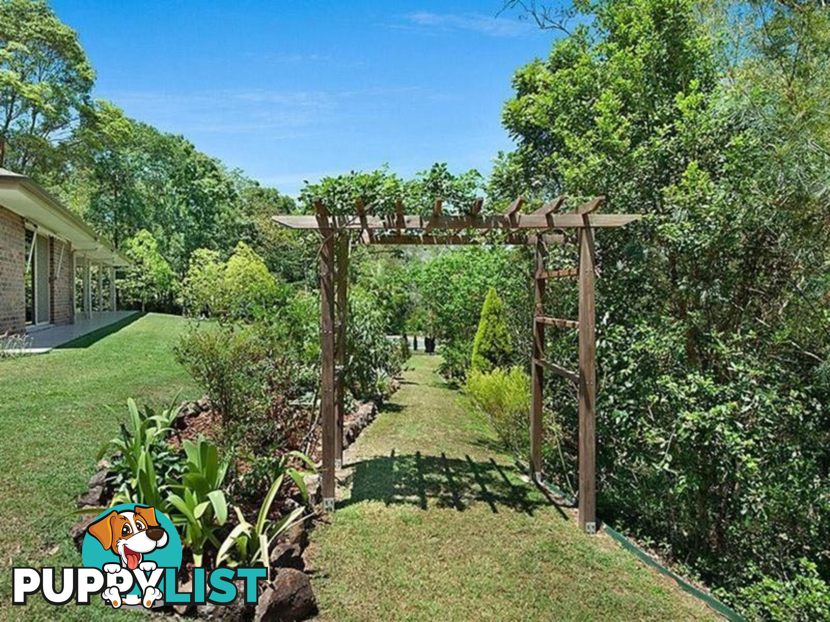 81 Whispering Gum Avenue EUMUNDI QLD 4562