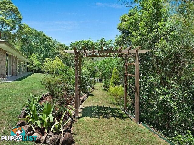 81 Whispering Gum Avenue EUMUNDI QLD 4562