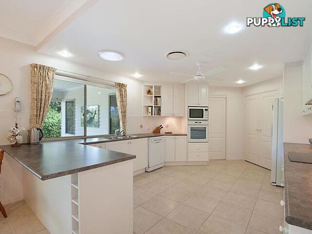 81 Whispering Gum Avenue EUMUNDI QLD 4562