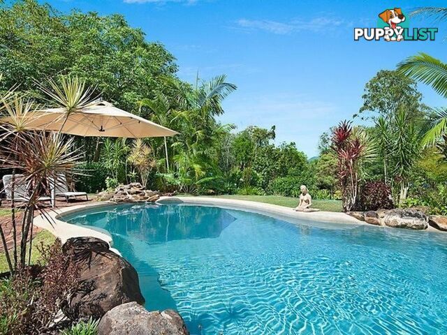 81 Whispering Gum Avenue EUMUNDI QLD 4562