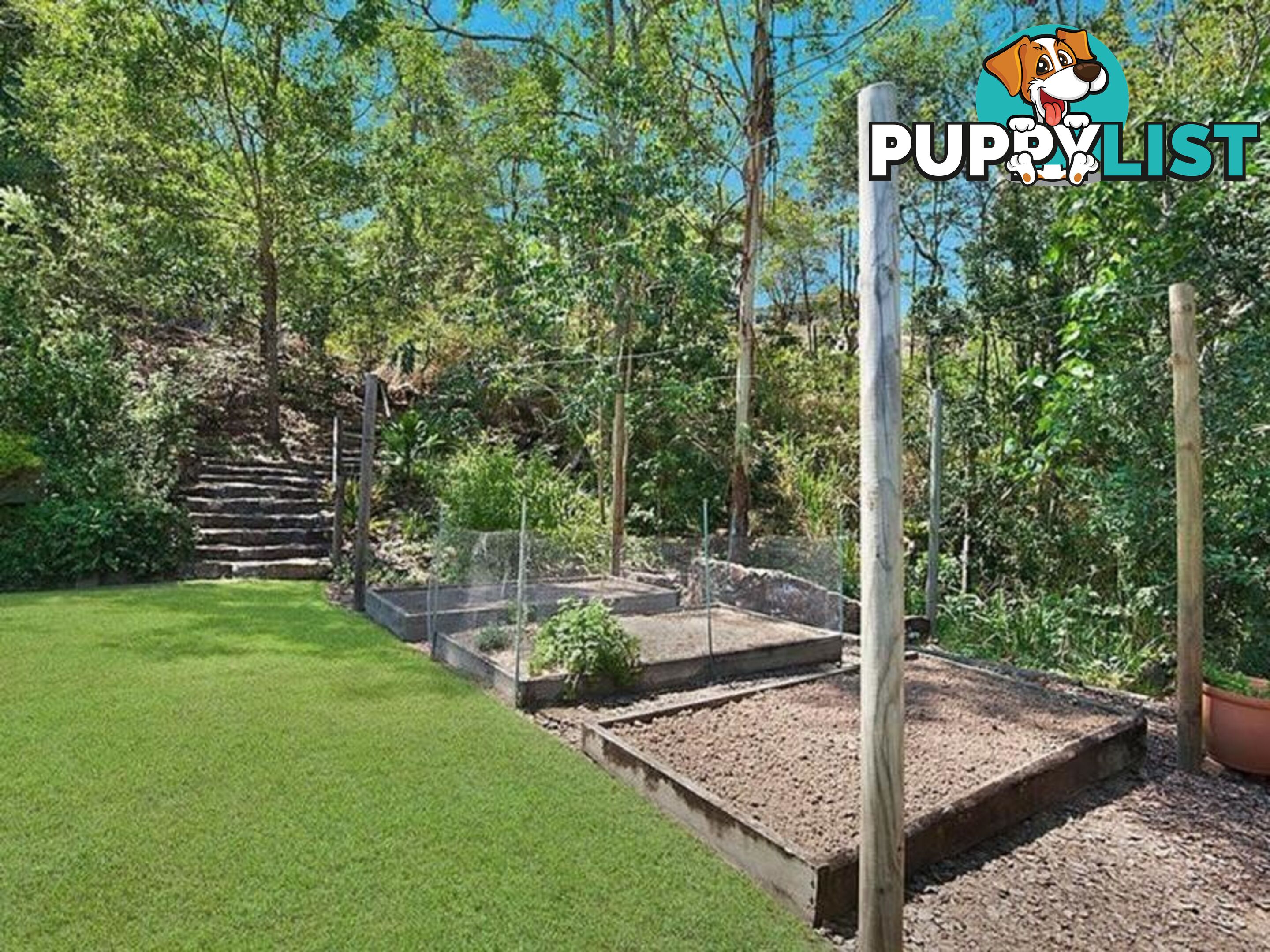 81 Whispering Gum Avenue EUMUNDI QLD 4562