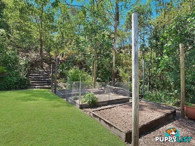 81 Whispering Gum Avenue EUMUNDI QLD 4562