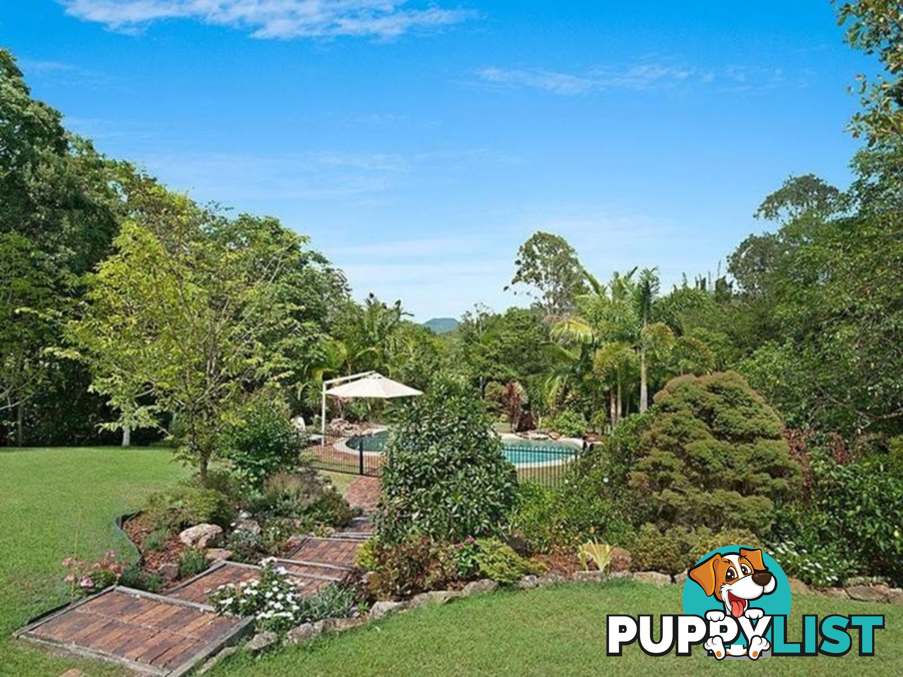 81 Whispering Gum Avenue EUMUNDI QLD 4562