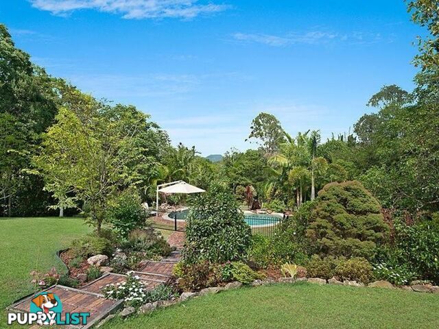 81 Whispering Gum Avenue EUMUNDI QLD 4562