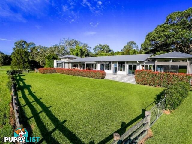 19 Littleridge Court DOONAN QLD 4562