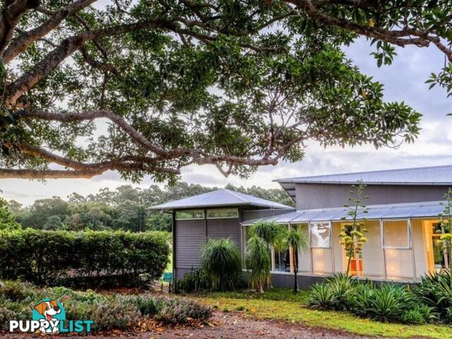 19 Littleridge Court DOONAN QLD 4562