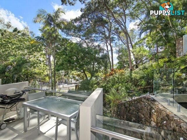 3 2 Pandanus Street NOOSA HEADS QLD 4567