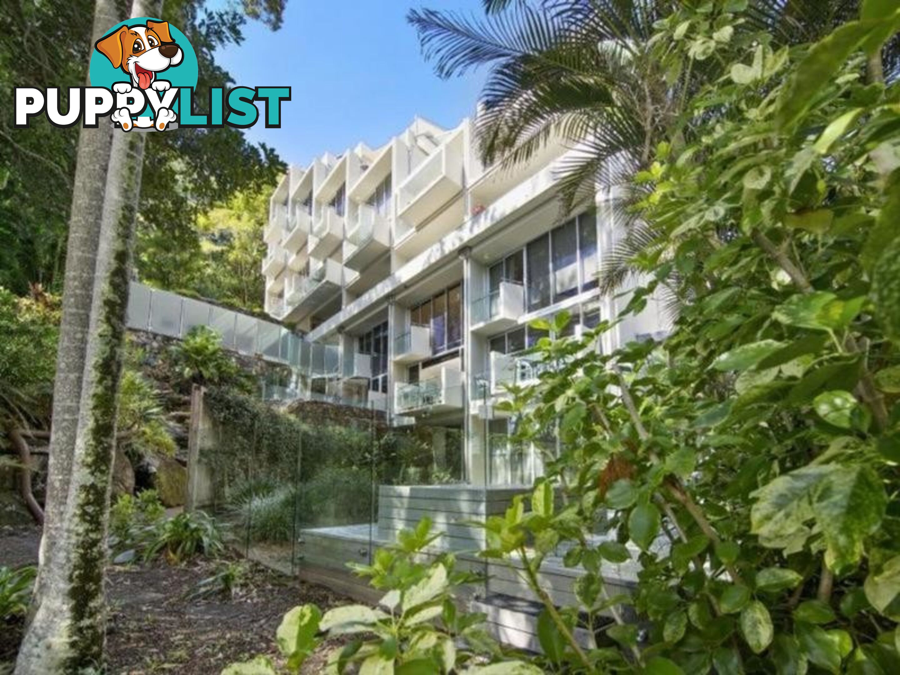 3 2 Pandanus Street NOOSA HEADS QLD 4567