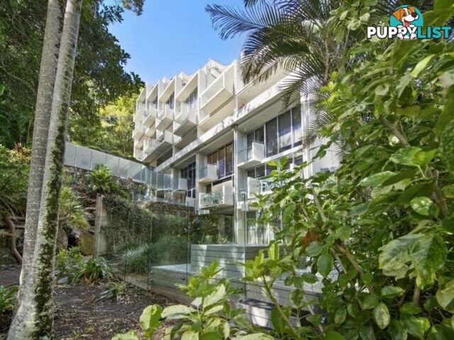 3 2 Pandanus Street NOOSA HEADS QLD 4567