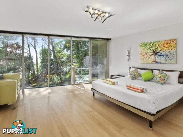 3 2 Pandanus Street NOOSA HEADS QLD 4567