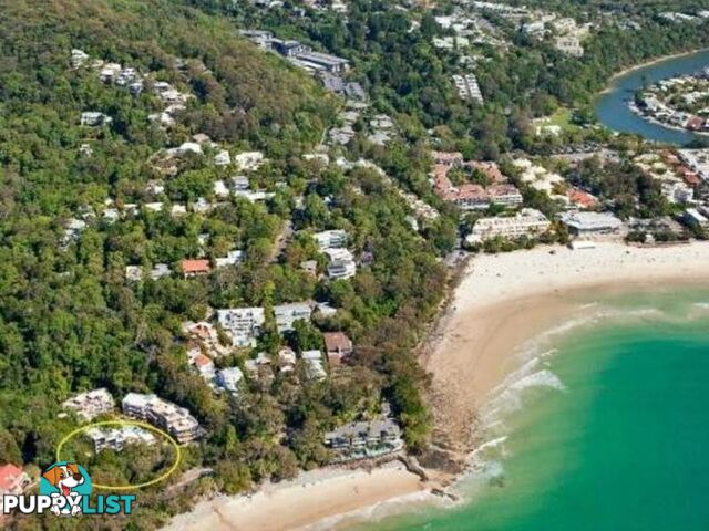 3 2 Pandanus Street NOOSA HEADS QLD 4567