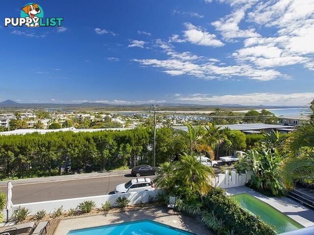 3 26 Edgar Bennett Avenue NOOSA HEADS QLD 4567