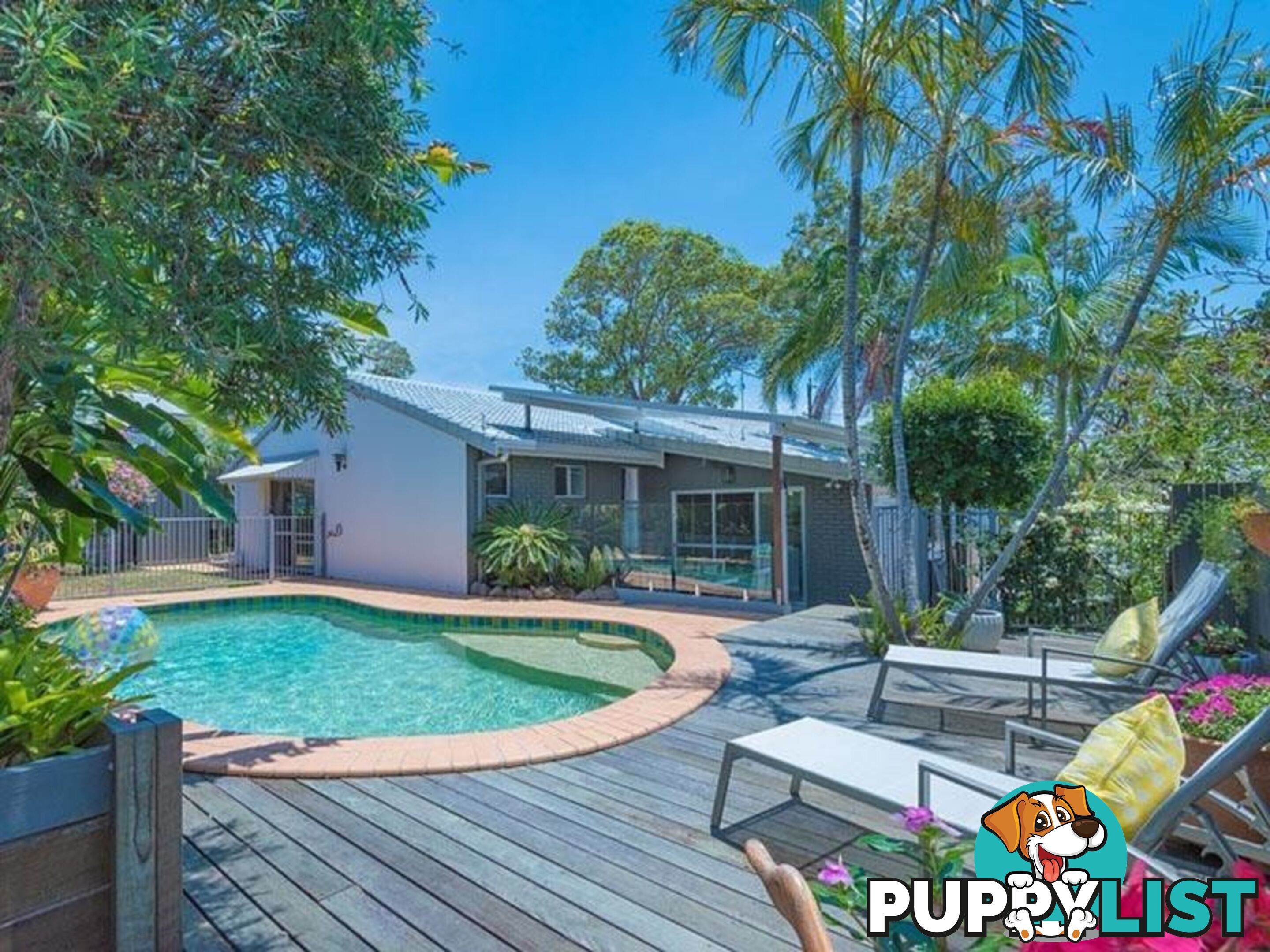 38 Allambi Terrace NOOSA HEADS QLD 4567