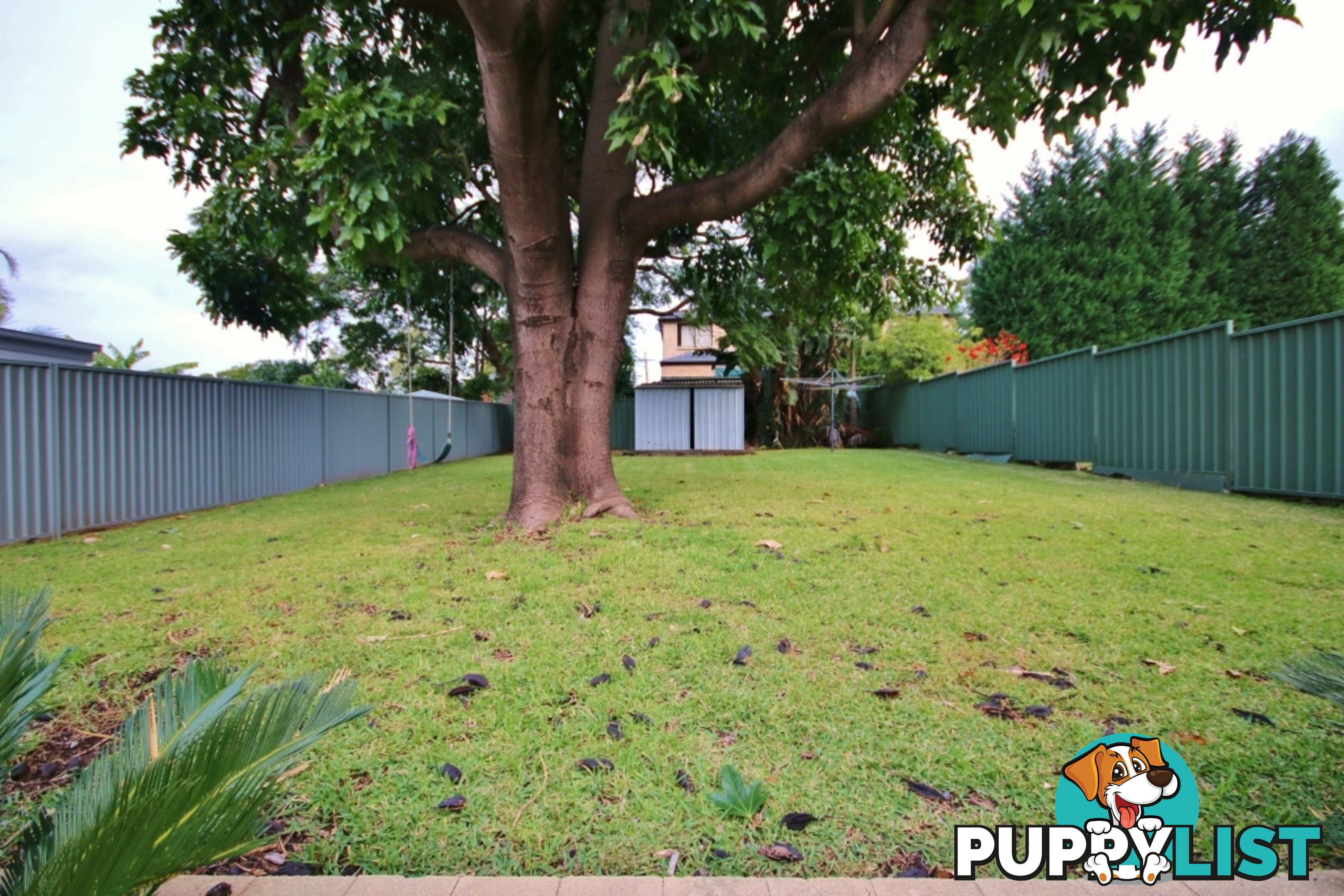 25 Meager Avenue PADSTOW NSW 2211