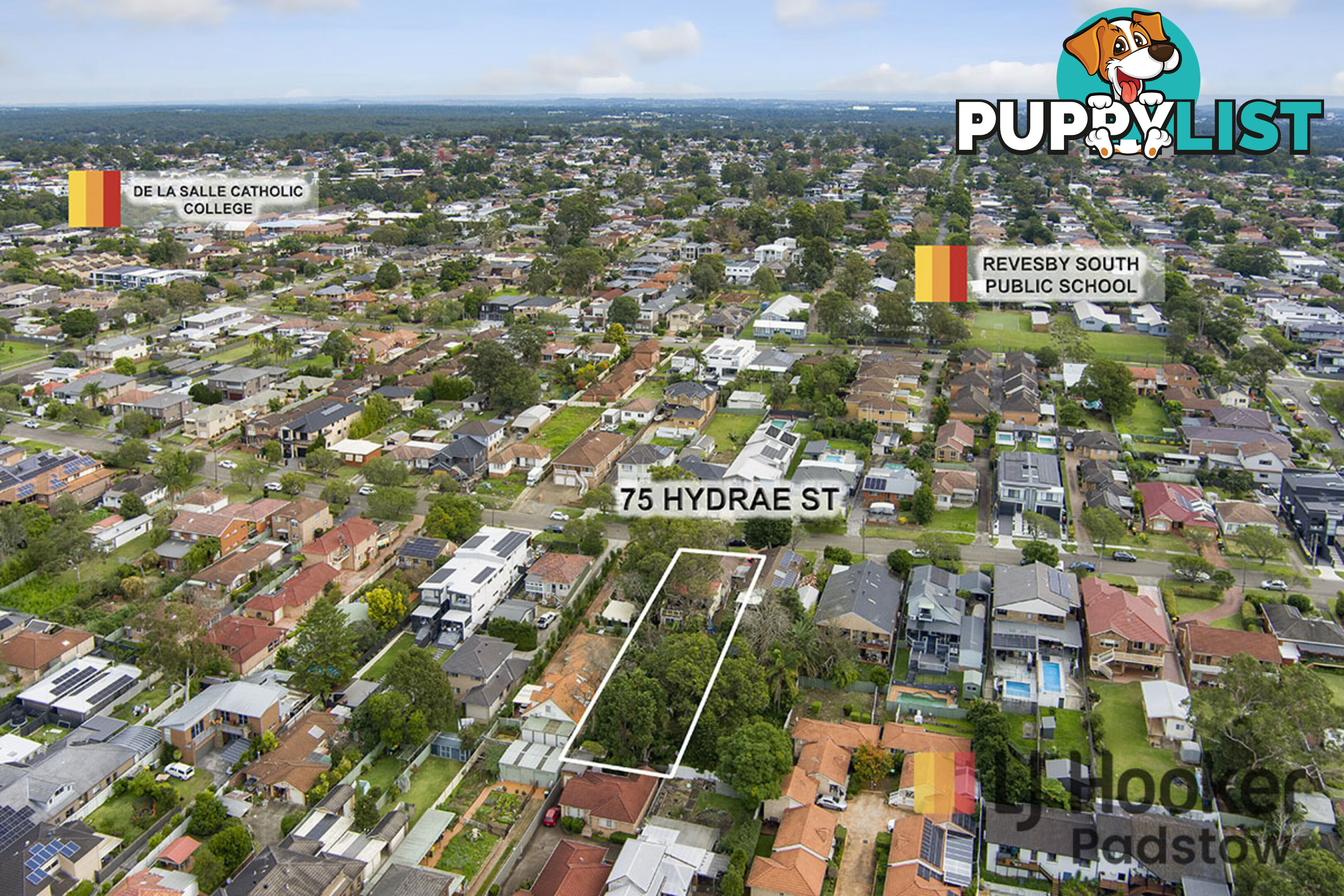 75 Hydrae Street REVESBY NSW 2212
