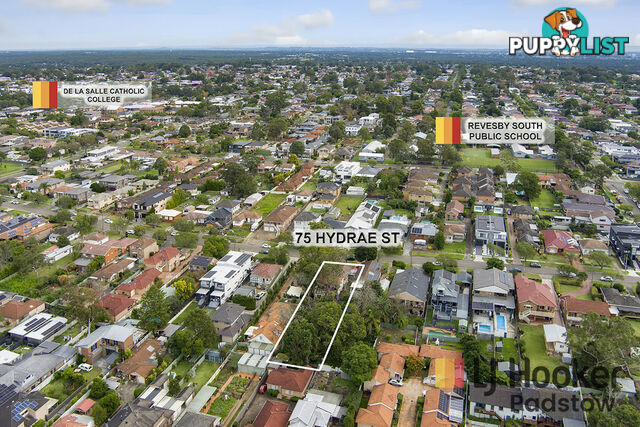 75 Hydrae Street REVESBY NSW 2212