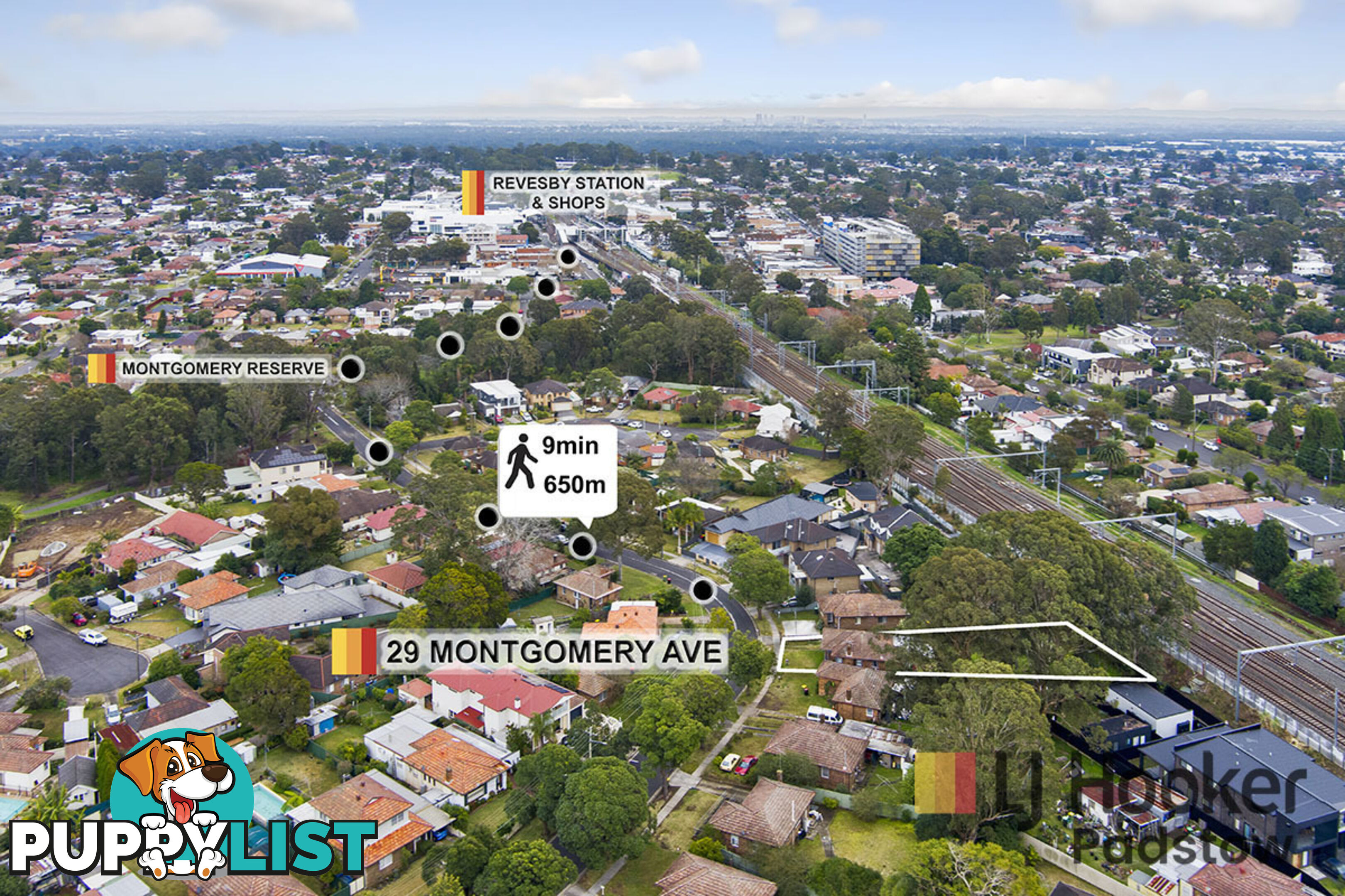29 Montgomery Avenue REVESBY NSW 2212
