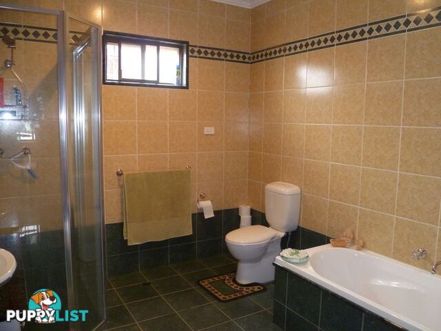 83 Iberia Street PADSTOW NSW 2211