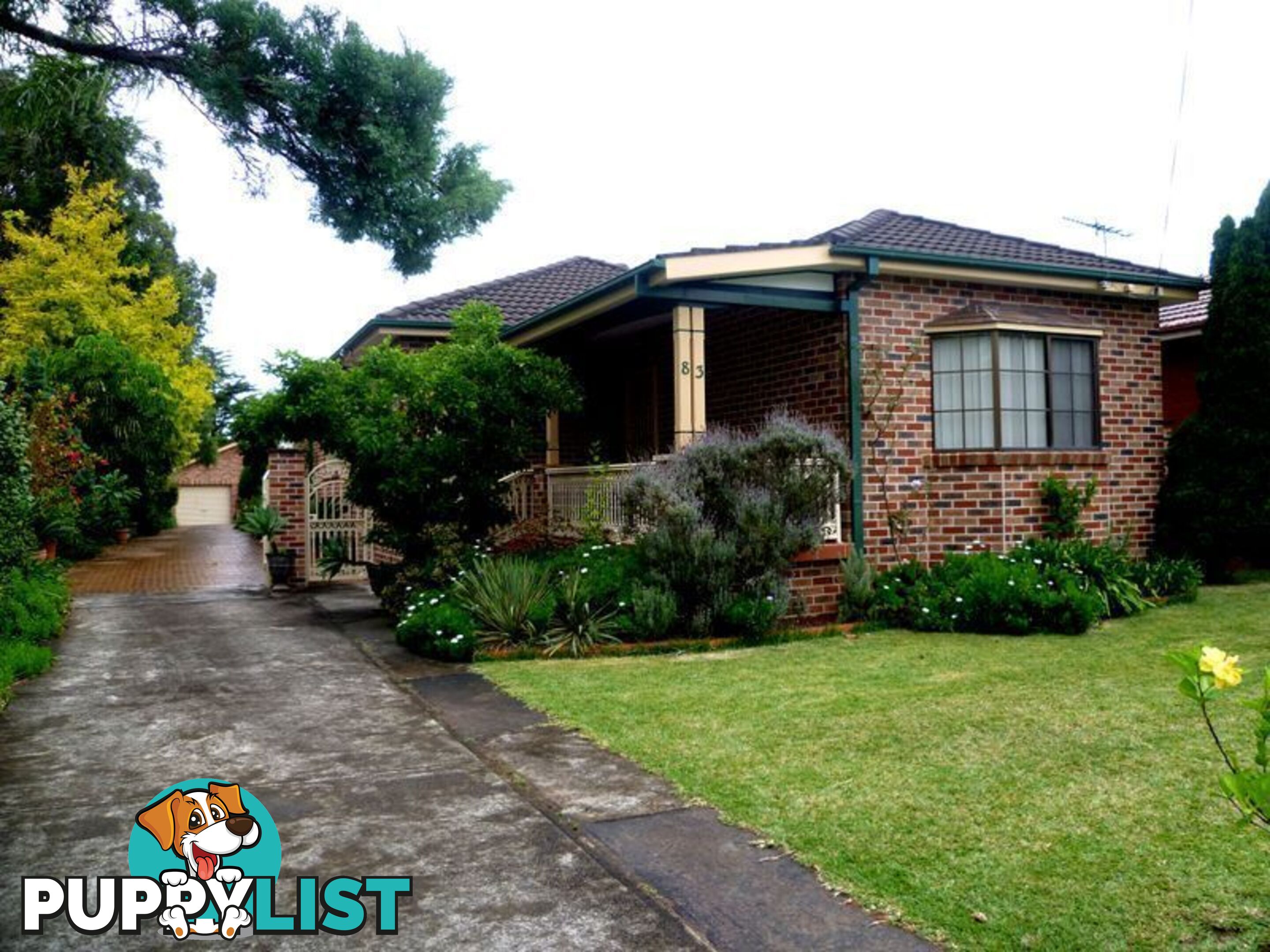 83 Iberia Street PADSTOW NSW 2211