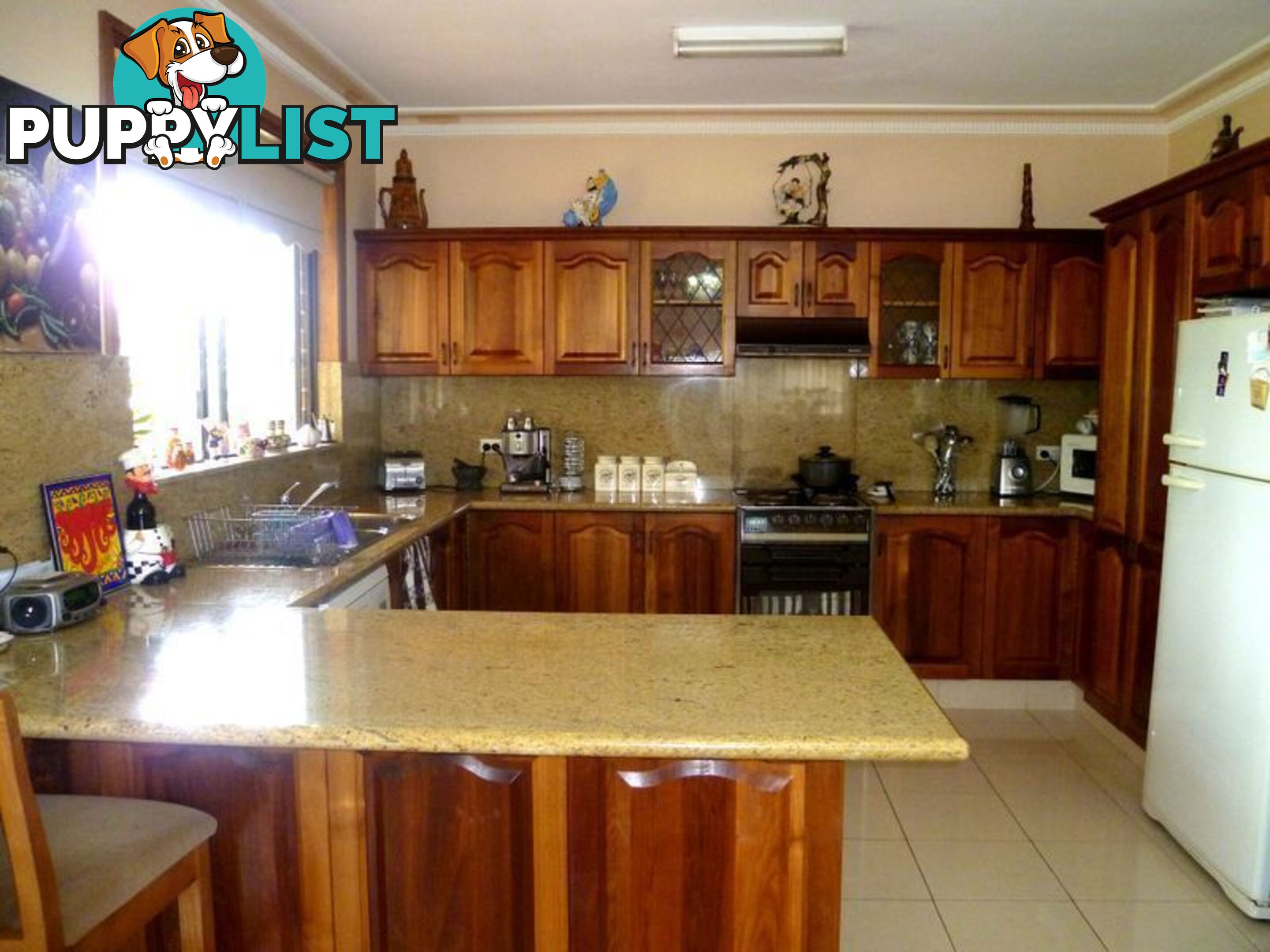 83 Iberia Street PADSTOW NSW 2211