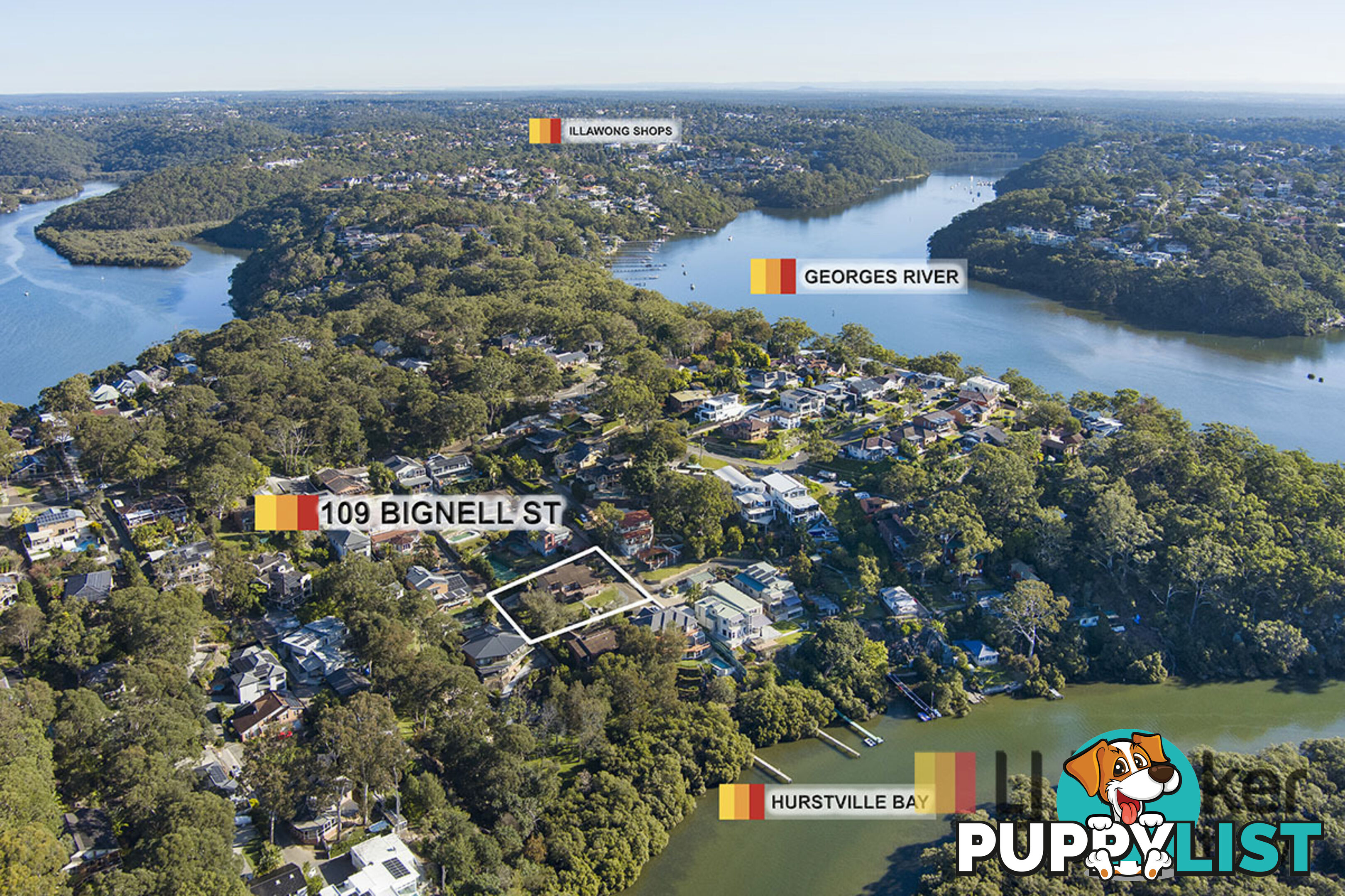109 Bignell Street ILLAWONG NSW 2234