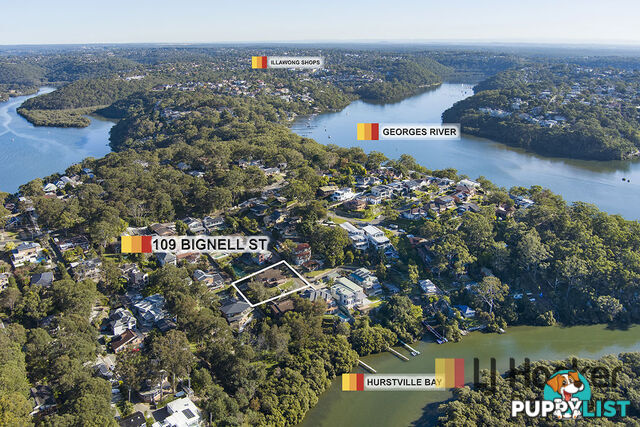 109 Bignell Street ILLAWONG NSW 2234