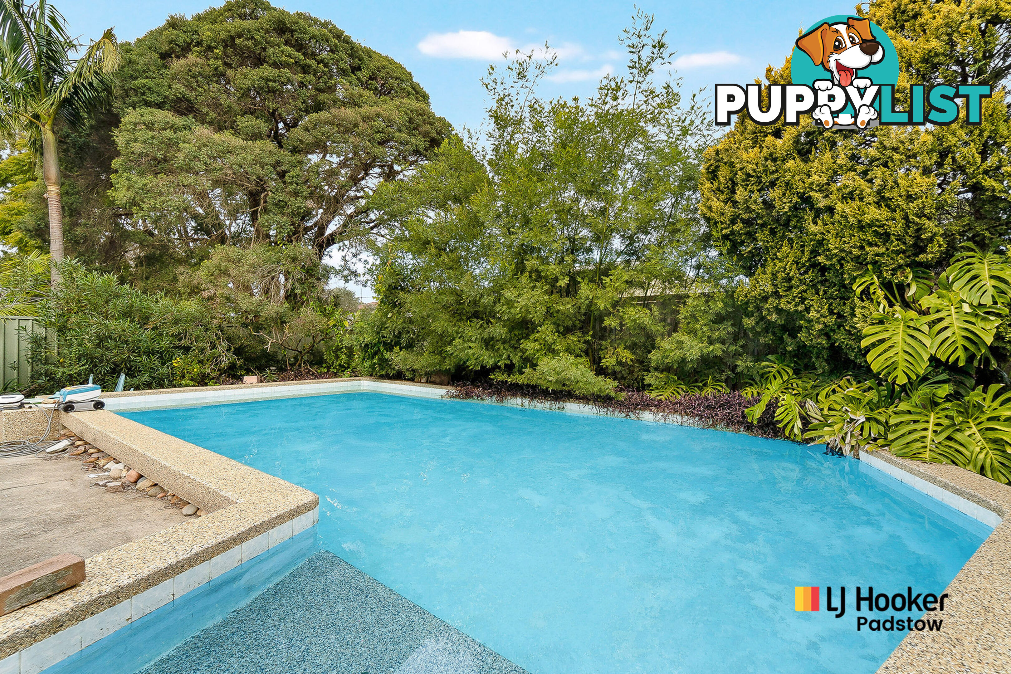 23 Robb Street REVESBY NSW 2212