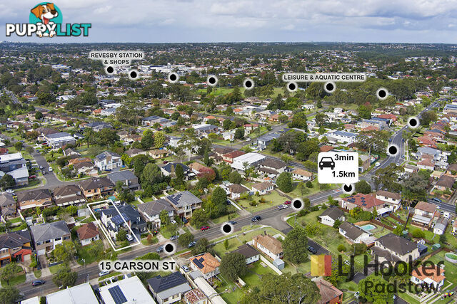 15 Carson Street PANANIA NSW 2213