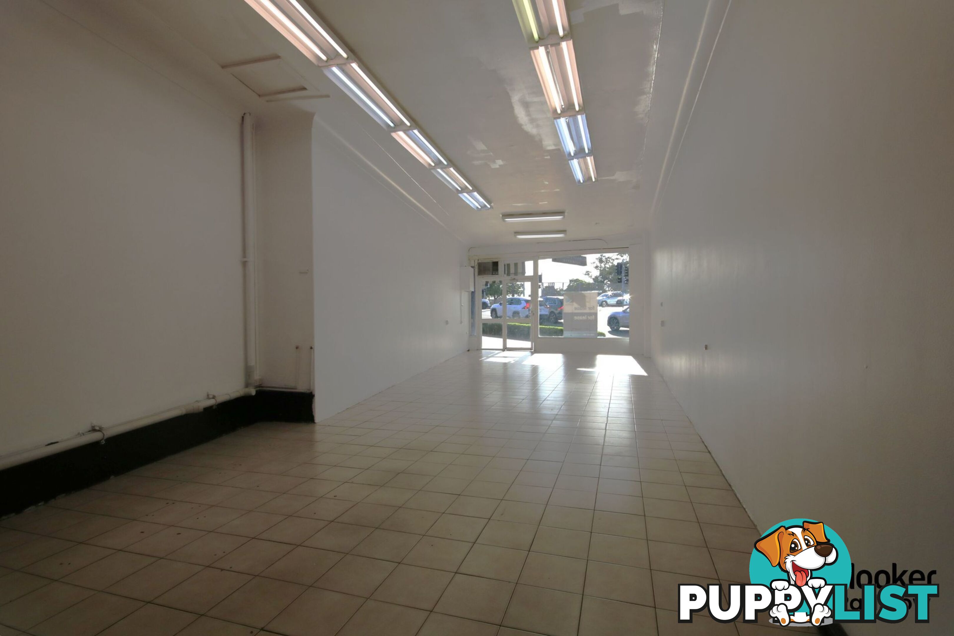 59 Howard Road PADSTOW NSW 2211