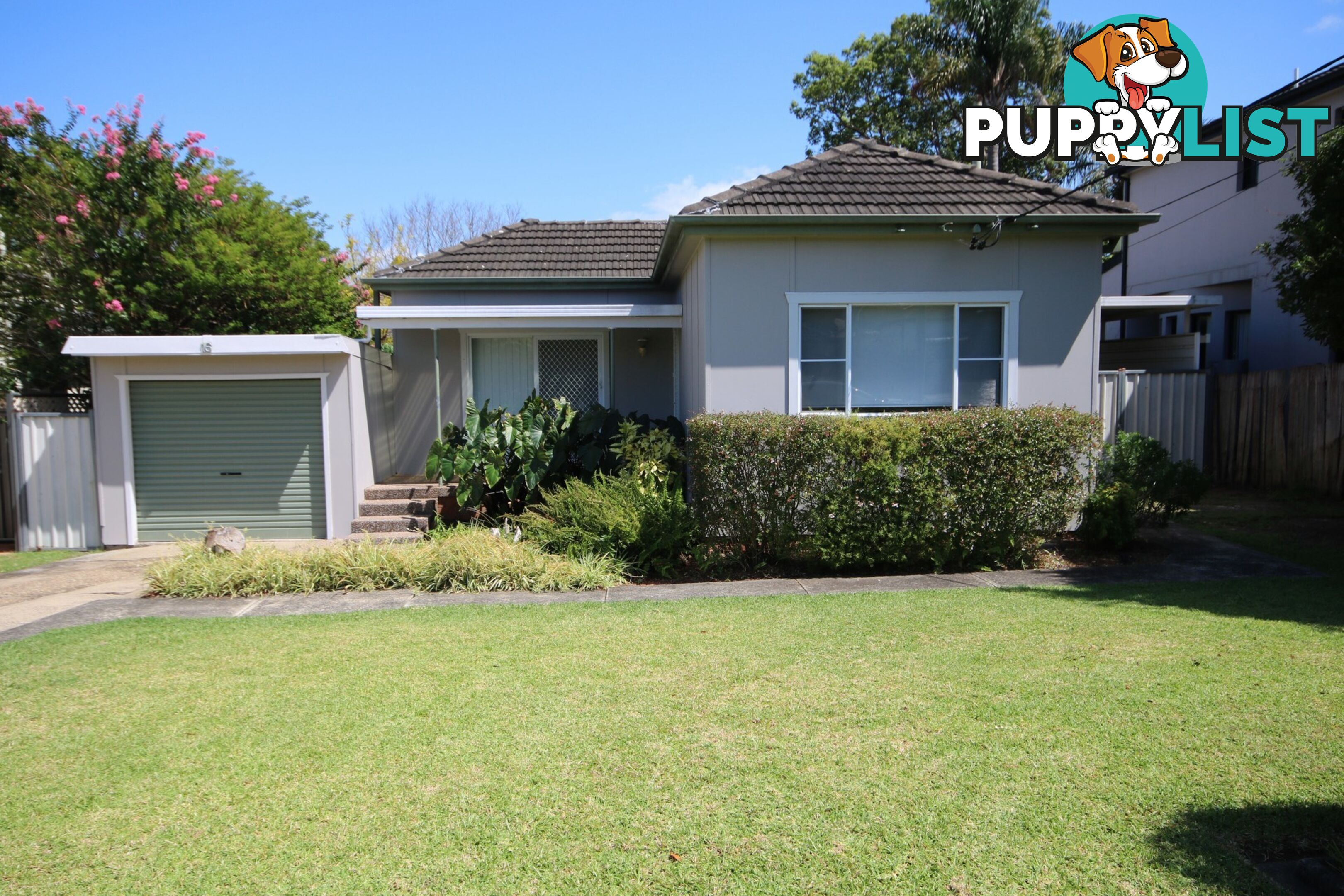 16 Clive Street REVESBY NSW 2212