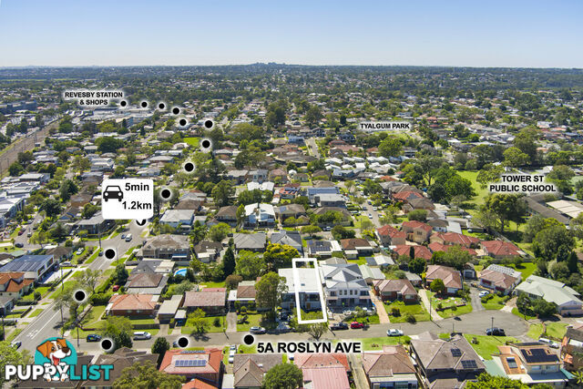 5A Roslyn Avenue PANANIA NSW 2213