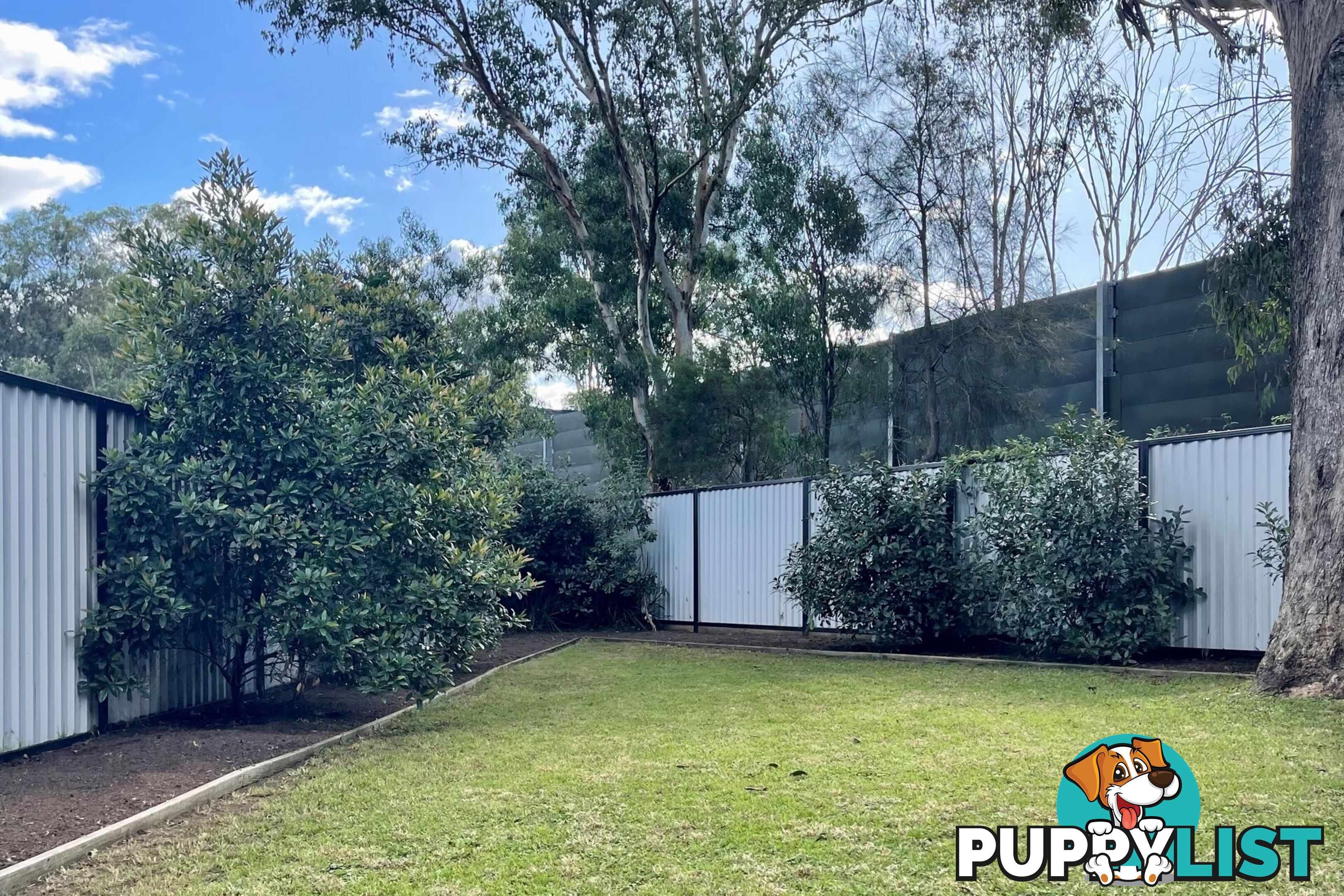 15 Toby Crescent PANANIA NSW 2213