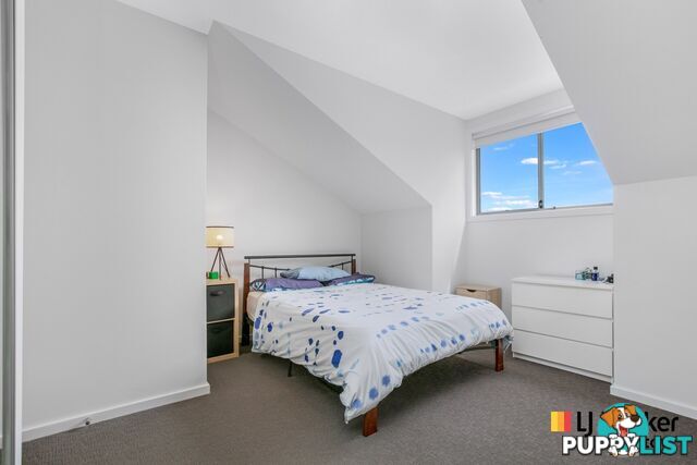 6/144 Alma Road PADSTOW NSW 2211