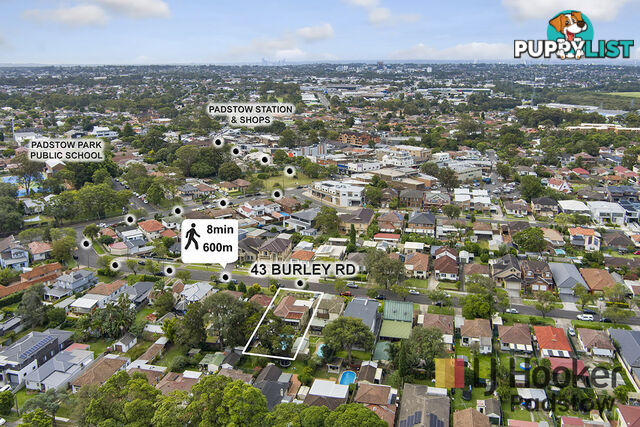 43 Burley Road PADSTOW NSW 2211
