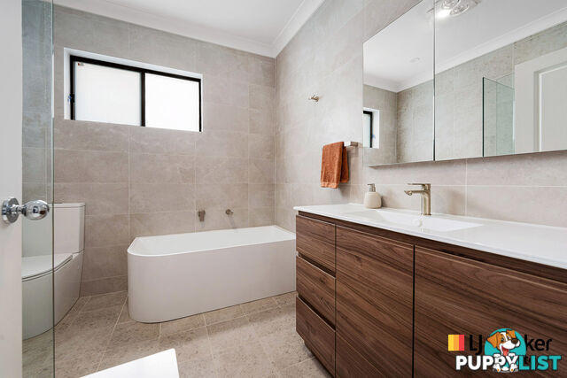 43 Burley Road PADSTOW NSW 2211
